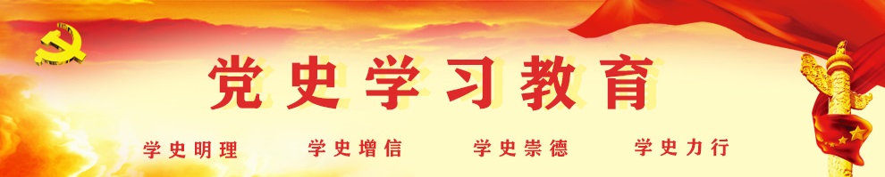 新莆京app电子游戏(中国)有限公司庆祝建党100周年党史学习教育专题